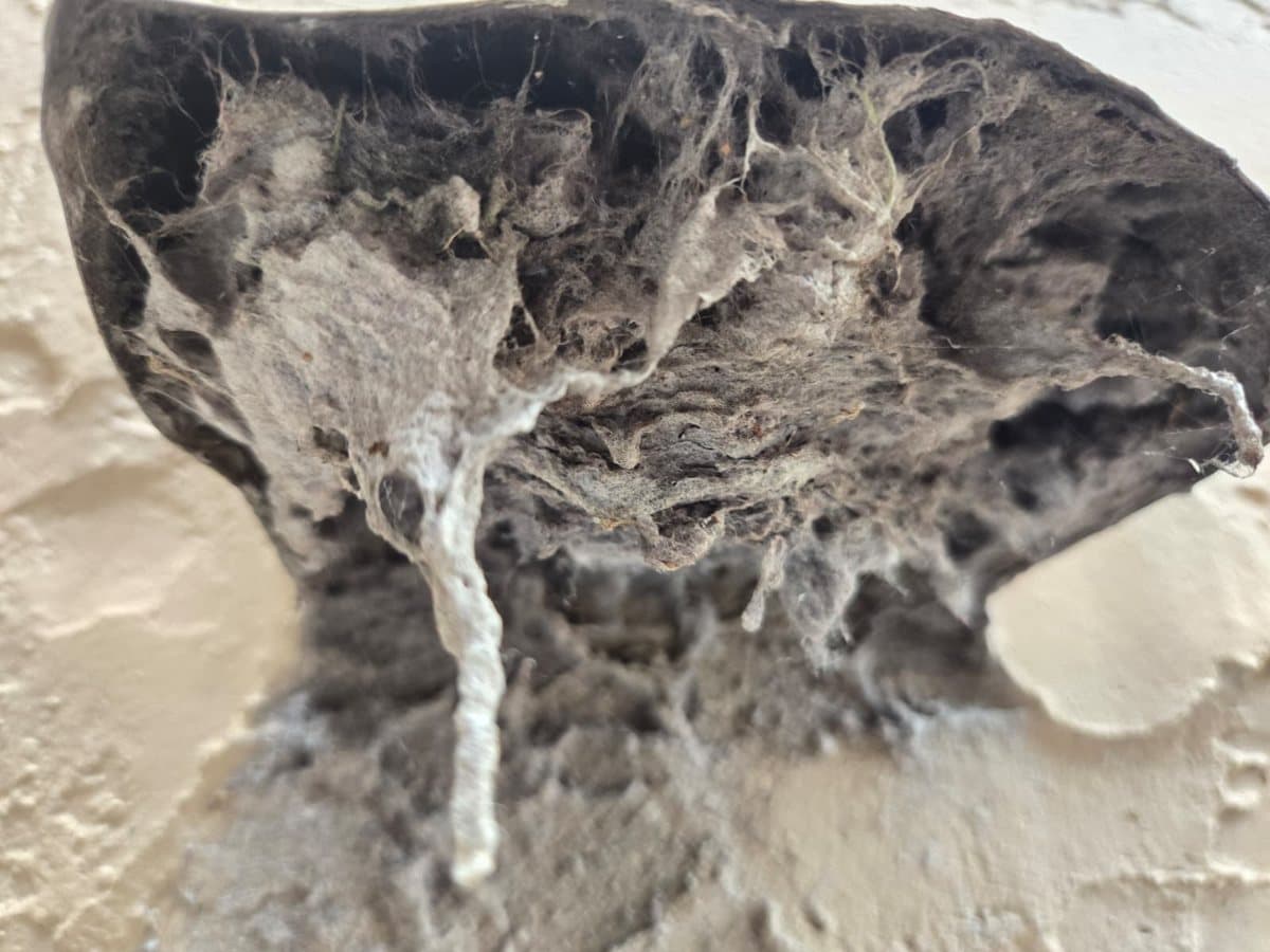 6 Signs Your Dryer Vent Is Clogged (Boca Raton & South Florida)